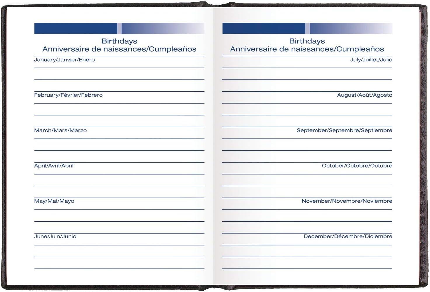 imageMead Telephone ampamp Address Book 3quot x 4quot 384 Entries Color Will Vary 67142Original version Pack of 4